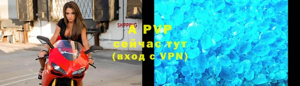 PSILOCYBIN Беломорск