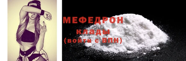 молекула духа Снежногорск