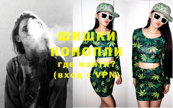 PSILOCYBIN Беломорск