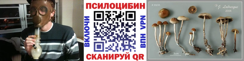 мориарти наркотические препараты где купить наркоту кракен зеркало Костомукша Псилоцибиновые грибы MAGIC MUSHROOMS